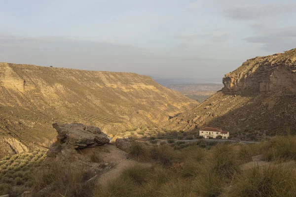 Hermoso Paisaje Con Una Montaña Árbol —  Fotos de Stock