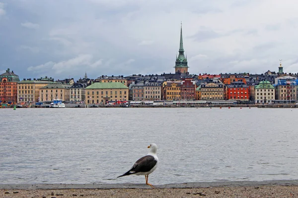 Stockholm Sweden June 2019 View City Riga Latvia — Stock Photo, Image