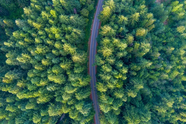 Vista Aérea Estrada Floresta — Fotografia de Stock