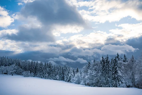 Hermoso Paisaje Invierno Con Árboles Cubiertos Nieve —  Fotos de Stock