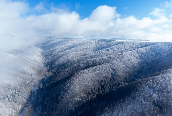 Повітряний Вид Красиві Засніжені Гори Взимку — стокове фото