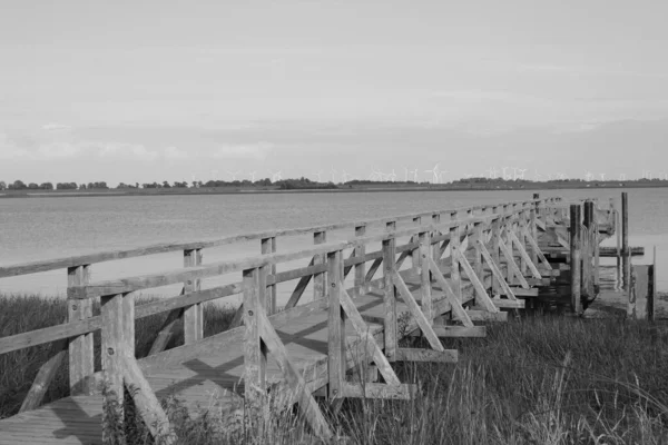 Molo Legno Sulla Spiaggia — Foto Stock