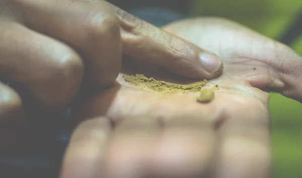 Close Hand Holding Green Leaf — Stock Photo, Image