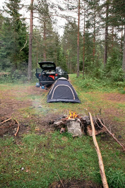Campeggio Nella Foresta Viaggi — Foto Stock