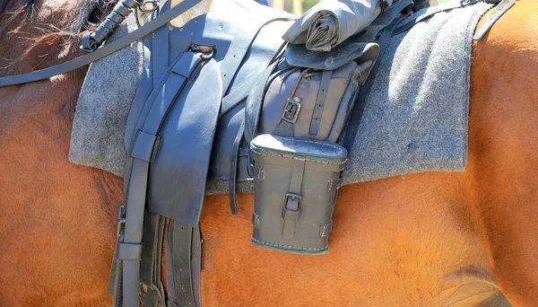Horse Hand Buckle Man — Stock Photo, Image