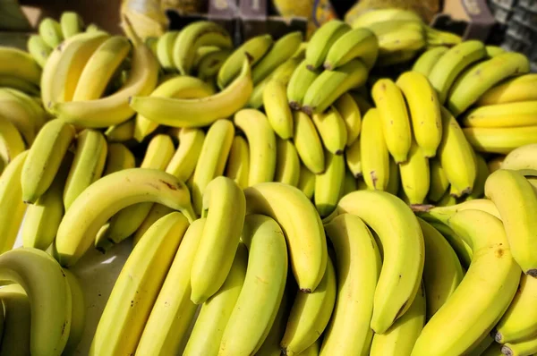 Fresh Ripe Bananas Market — Stock Photo, Image