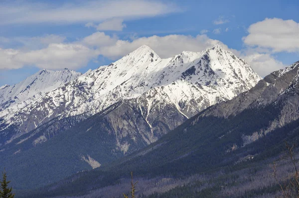 산으로 아름다운 — 스톡 사진