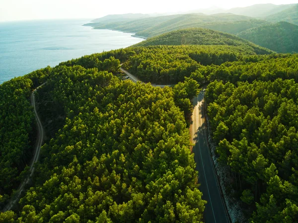 Letecký Pohled Řeku Lese — Stock fotografie