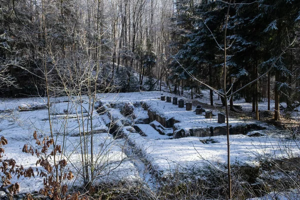 Wunderschöne Landschaft Mit Schneebedeckten Bäumen — Stockfoto