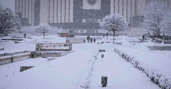 Stad Van Het Park Winter — Stockfoto