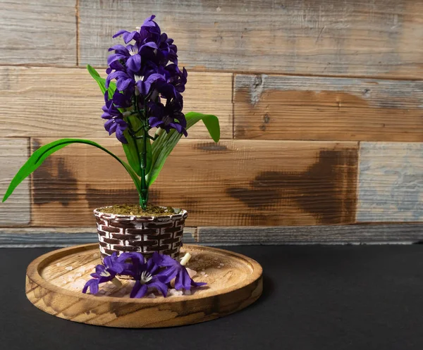 Hermosas Flores Una Olla Sobre Fondo Madera — Foto de Stock