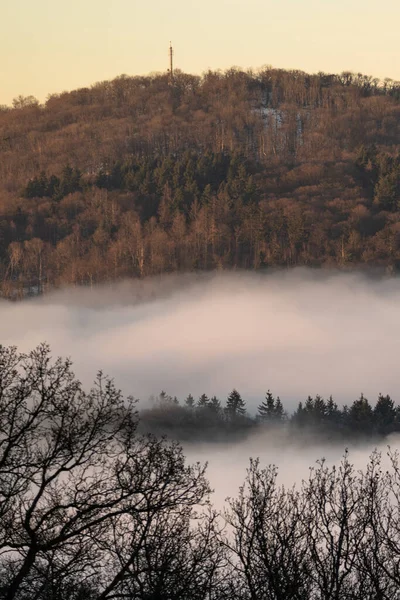 Schöne Aussicht Auf Den Wald — Stockfoto