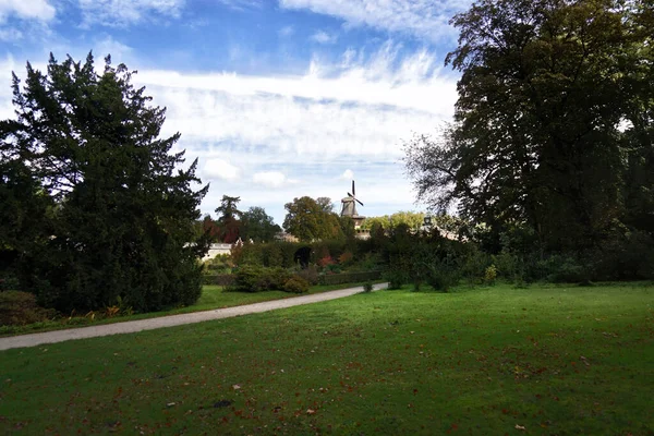 View City Park Summer — Stock Photo, Image