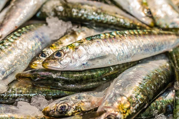 Peixe Mercado — Fotografia de Stock