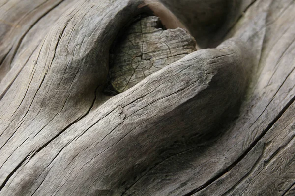 Textura Madeira Velha Com Padrões Naturais — Fotografia de Stock