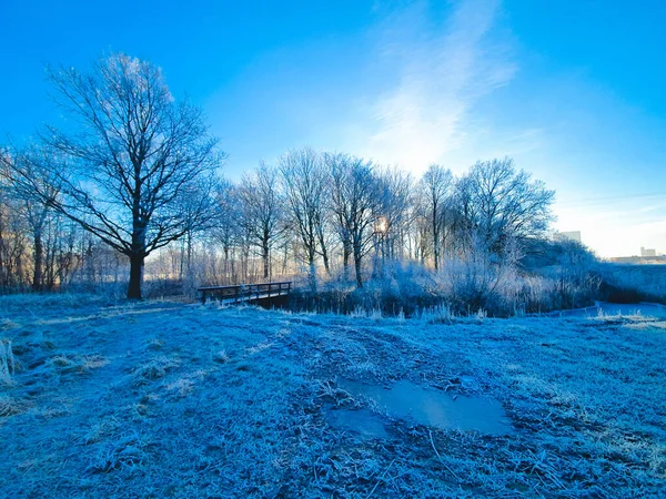 Bela Paisagem Inverno Com Árvores Cobertas Neve — Fotografia de Stock