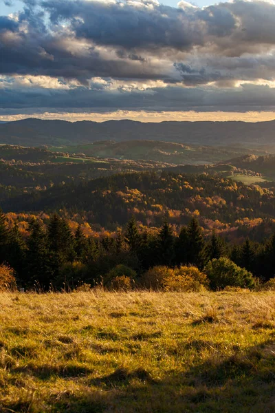 Beau Paysage Avec Arbre Champ — Photo