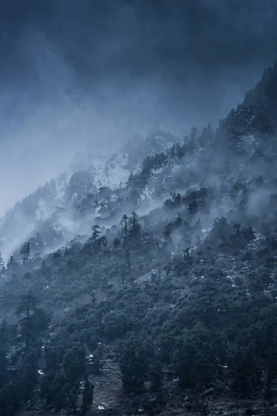 Hermoso Paisaje Montaña Con Niebla — Foto de Stock