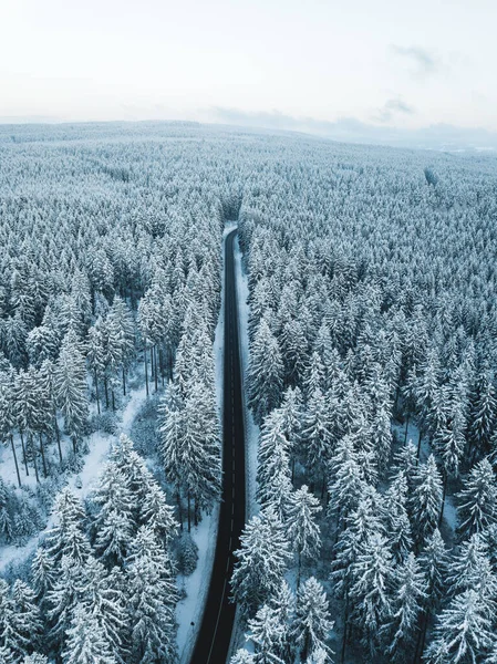 冬の森の空中風景 — ストック写真
