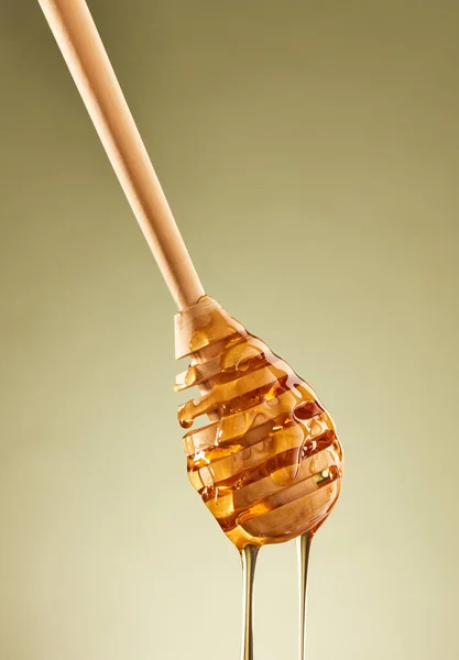 Honung Droppade Från Träslev Mot Vit Bakgrund — Stockfoto
