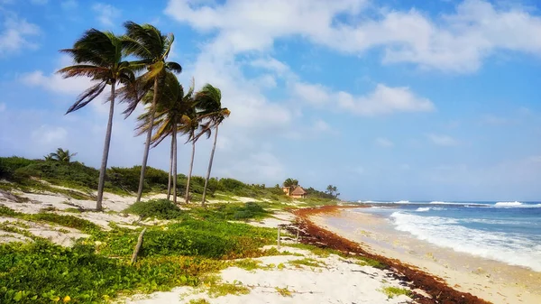 Wunderschöner Tropischer Strand Mit Palmen Und Blauem Himmel — Stockfoto