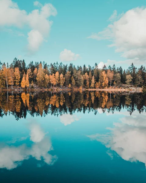 Vackert Landskap Med Sjö Och Skog — Stockfoto