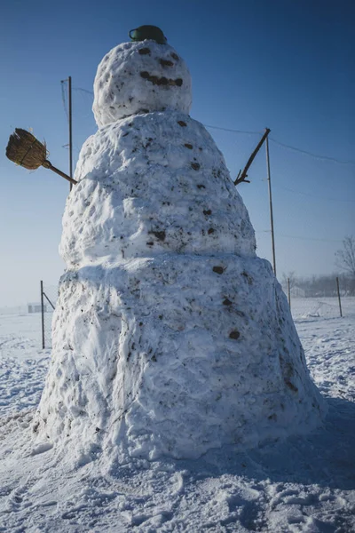 Pokryte Śniegiem Drzewa Zimie — Zdjęcie stockowe