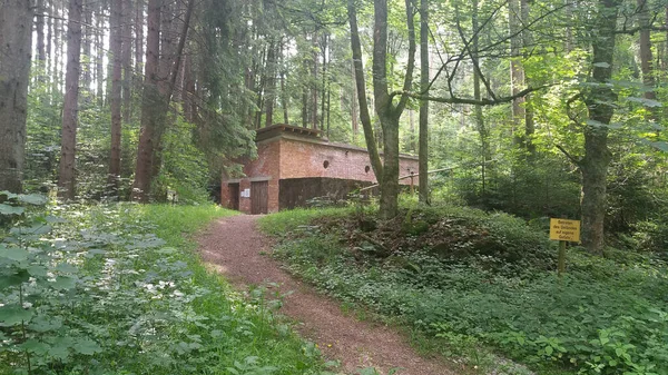 Velha Casa Abandonada Floresta — Fotografia de Stock