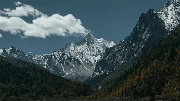 山の美しい風景 — ストック写真