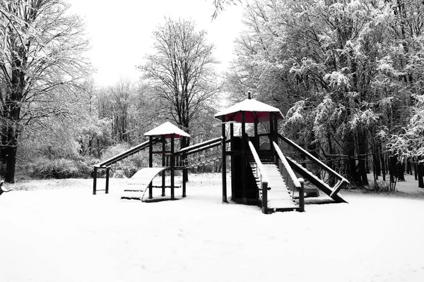 Pokryte Śniegiem Ławki Parku — Zdjęcie stockowe