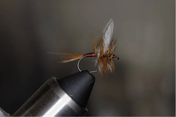 Amo Hackle Fly Line Concetto Pesca — Foto Stock