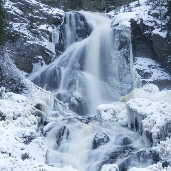 Cascade Dans Forêt — Photo