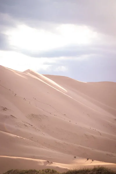 Beautiful View Desert — Stock Photo, Image