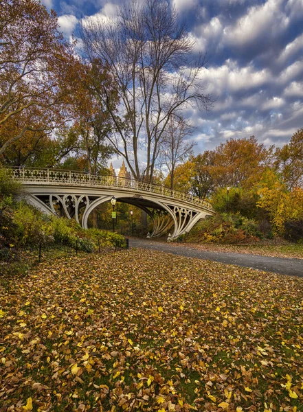 Podzimní Krajina Stromy Mostem — Stock fotografie