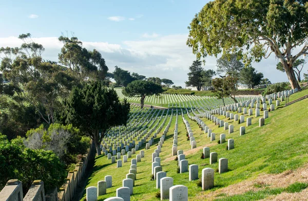 Una Hermosa Vista Cementerio Parque —  Fotos de Stock