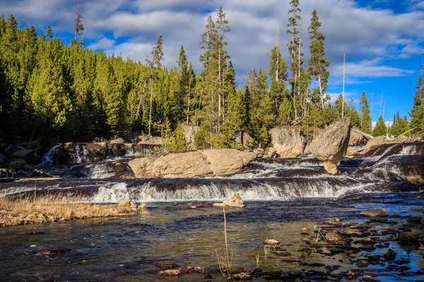 Belle Vue Sur Rivière Nature Arrière Plan — Photo