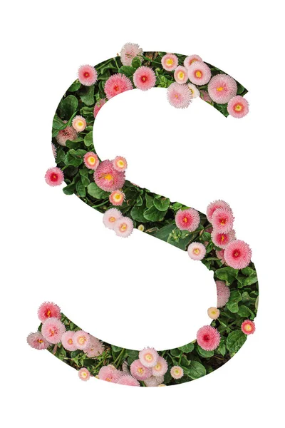 Buchstabe Alphabet Aus Blumen Und Blättern — Stockfoto