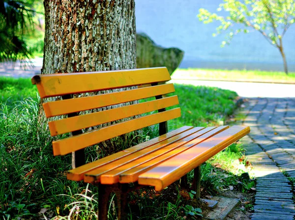 Bench Park — Stock Photo, Image