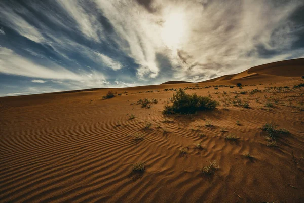Hermosa Vista Del Desierto — Foto de Stock