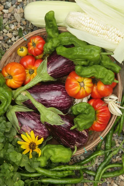 Frisches Gemüse Auf Einem Hölzernen Hintergrund — Stockfoto