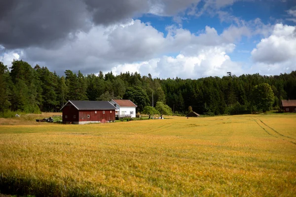 Platteland Met Een Huis Een Schuur — Stockfoto