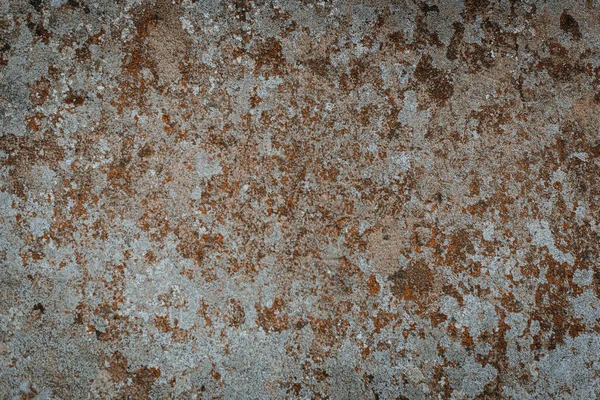 Fond Texture Grunge Motif Abstrait Vieux Mur — Photo