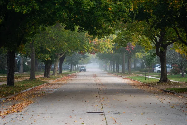 Herbstpark Der Stadt — Stockfoto