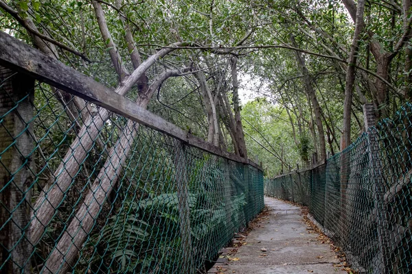 Bella Vista Sul Parco — Foto Stock