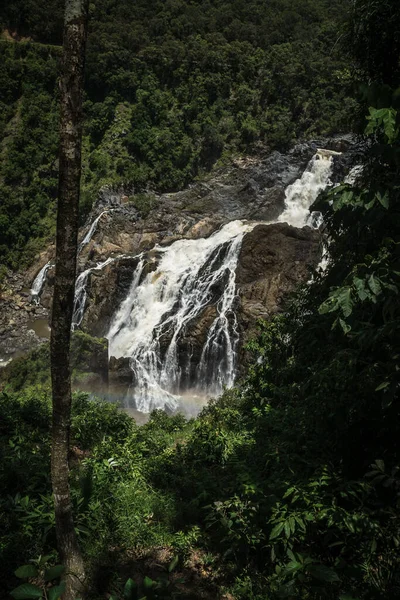 Cascada Bosque — Foto de Stock