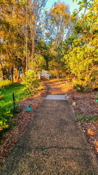 Hermoso Parque Otoño Ciudad —  Fotos de Stock