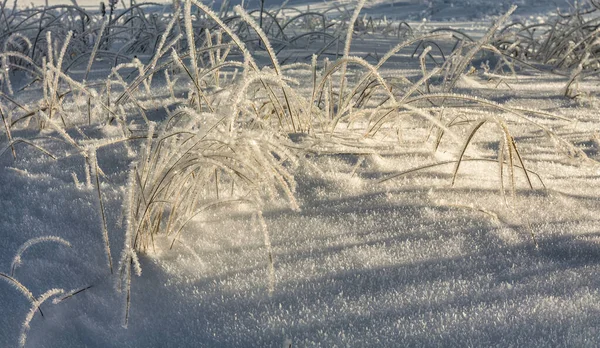Winterlandschaft Mit Schnee — Stockfoto