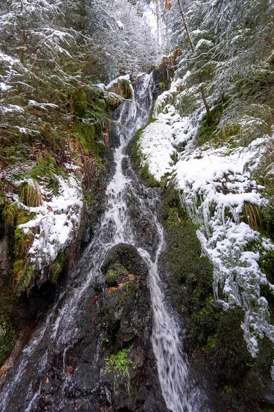 Belle Cascade Dans Forêt — Photo