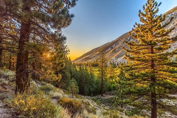 Paysage Automne Avec Arbres Montagnes — Photo