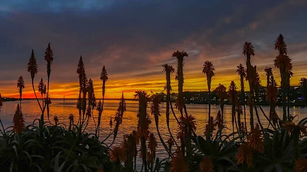 Belo Pôr Sol Sobre Lago — Fotografia de Stock